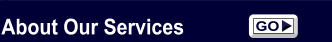 About Our Incorporating Services