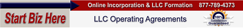 LLC operating agreement and forms