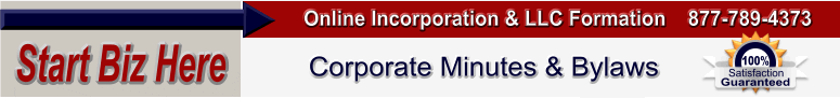LLC operating agreement and forms